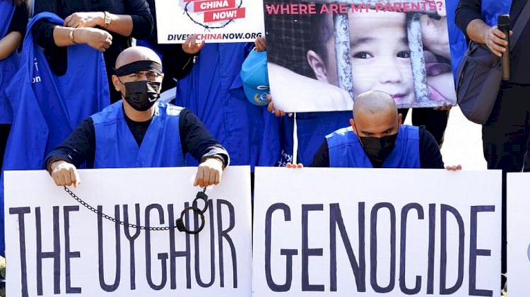 Uygur Türkü Haitiwaji Çin'in toplama kamplarındaki sistematik işkenceyi anlattı