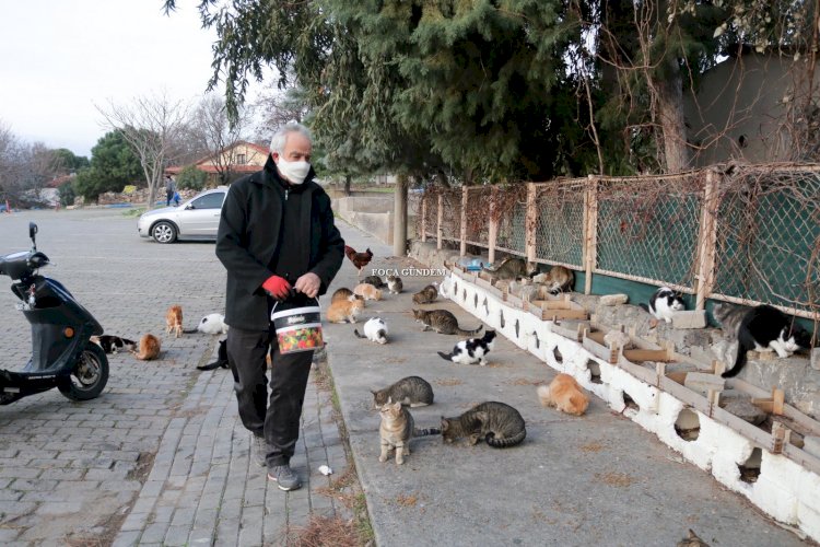  FOÇALI TURİZMCİDEN PANDEMİ MAĞDURU KEDİLERE BARINAK