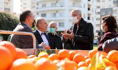 Turunçlar salata sosu olarak ekonomiye kazandırılacak