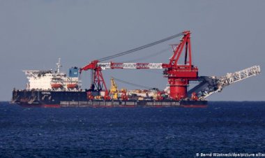 Alman hükümeti Kuzey Akım'da kararlı