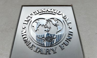 IMF’den Erdoğan yönetimine destek