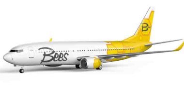 Ukrayna’nın yeni hava yolu Bees Airlines’ı Tez Tour mu kurdu?