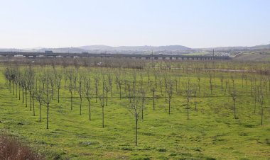 İSKİ, İÇME SUYU HAVZALARINI AĞAÇLANDIRIYOR
