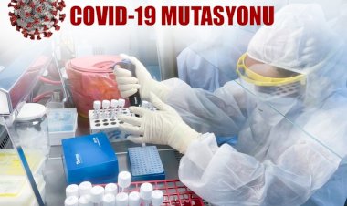 KKTC’de Mutasyonlu Virüs Saptandı!