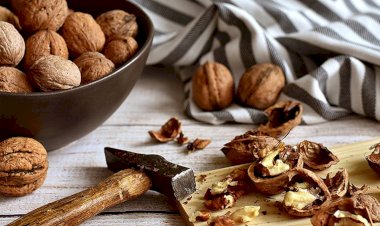 Cevizin faydaları ve zararları nelerdir?