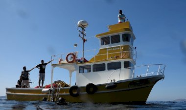 Marmara Adalarında Sucul Ekosisteme Can Suyu!