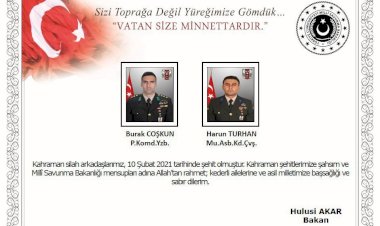 Milli Savunma Bakanlığı duyurdu! 2 askerimiz şehit oldu