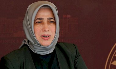 Özlem Zengin'in TV'deki açıklamaları ortaya çıktı: "Demirtaş'ın Öcalan'ı örnek alması lazım"