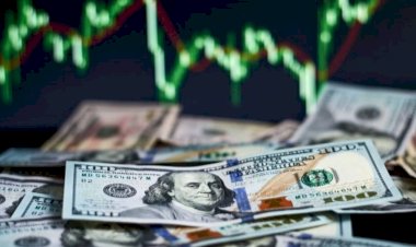 FITCH'den üstü kapalı dolar uyarısı!
