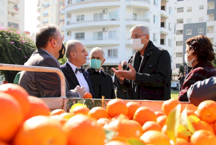 Turunçlar salata sosu olarak ekonomiye kazandırılacak