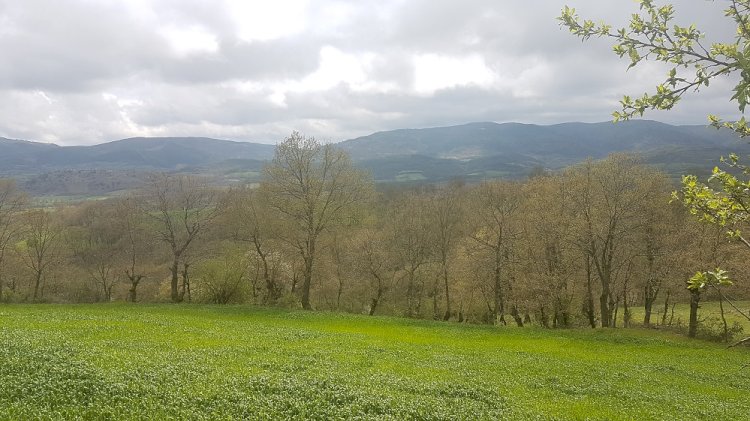 Çanakkale Çırpılar Köyü’ne kömürlü termik santral kurulamayacak
