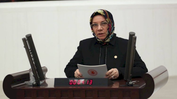 Hülya NERGİS 27. Dönem Kayseri Milletvekili