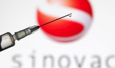 Sinovac aşısının etkililiği yüzde 83,5