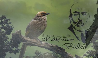 Mehmet Akif Ersoy - Bülbül