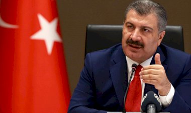 Bakan, Koca vakaların en fazla arttığı illeri açıkladı