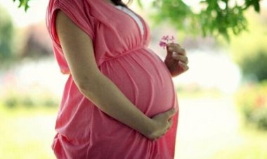 Pandemi döneminde beklenen 'doğum patlaması' neden yaşanmadı?