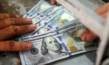 Dolar 8.35 seviyesinde işlem görüyor