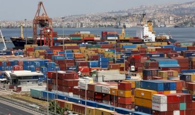 Alman ekonomisi TL'deki düşüşten endişeli