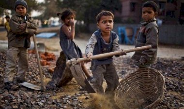 Mevsimlik tarımda çocuk işçiliği konusu büyüteç altında