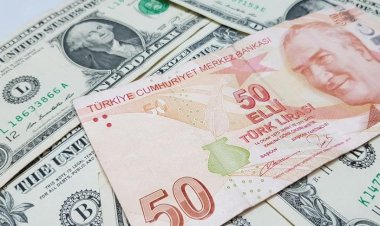 Fitch’in raporunda Merkez Bankası yorumu