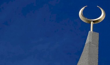 Şimşirgil ile etkinlik Almanya'da istifa getirdi