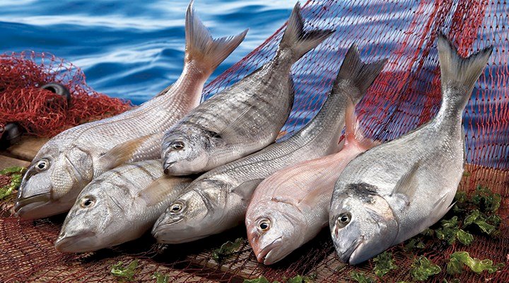 Vücuda hastalıklara karşı kalkan oluyor. İşte B12 vitamini zengini besinler