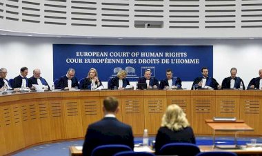Ukrayna geçen yıl AİHM’deki yeni dava sayısında üçüncü oldu