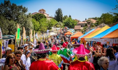 TÜRKİYE’NİN İLK VE TEK VEGAN FESTİVALİ DİDİM VEGFEST BU YIL "ONLINE" !