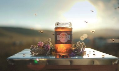 Sağlıklı ve Doğal Bala Nasıl Ulaşılır?