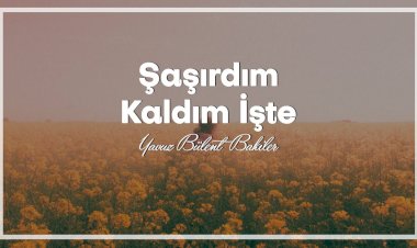 Yavuz Bülent Bâkiler - Şaşırdım Kaldım İşte