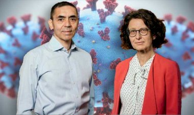 Alerjik Hastalığı Olanlar Pfizer Biontech Aşısı Mı Yoksa Çin Aşısı Coranavac Aşısı Mı Olsun?