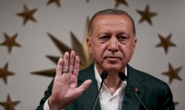 Almanya'dan çarpıcı Türkiye raporu: Kurumlar felce uğratıldı