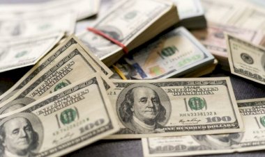 Yabancı iki haftada 10 milyar dolar çıkardı, yerli 10,1 milyar dolar bozdurdu