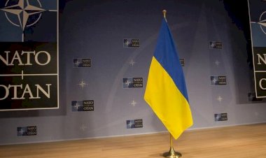 Таран: ПДЧ НАТО вже цьогоріч - першочерговий пріоритет для України