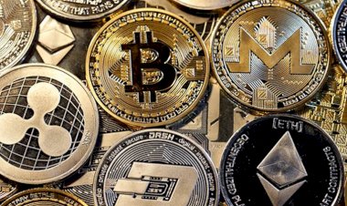 Vebitcoin şirketi faaliyetlerini durdurdu: "Yoğunluk, finansal alanda bizi çok zorlu sürece sürükledi"
