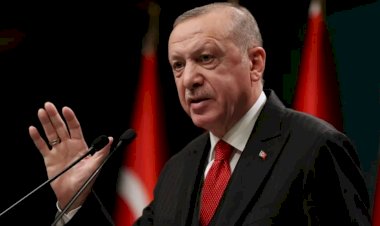 Erdoğan'dan, İnsan Hakları Eylem Planı genelgesi: Eşit, şeffaf, adil