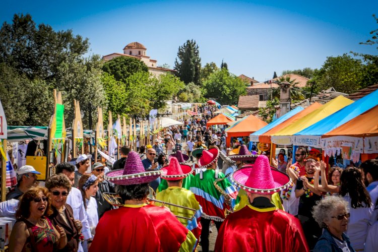 TÜRKİYE’NİN İLK VE TEK VEGAN FESTİVALİ DİDİM VEGFEST BU YIL "ONLINE" !