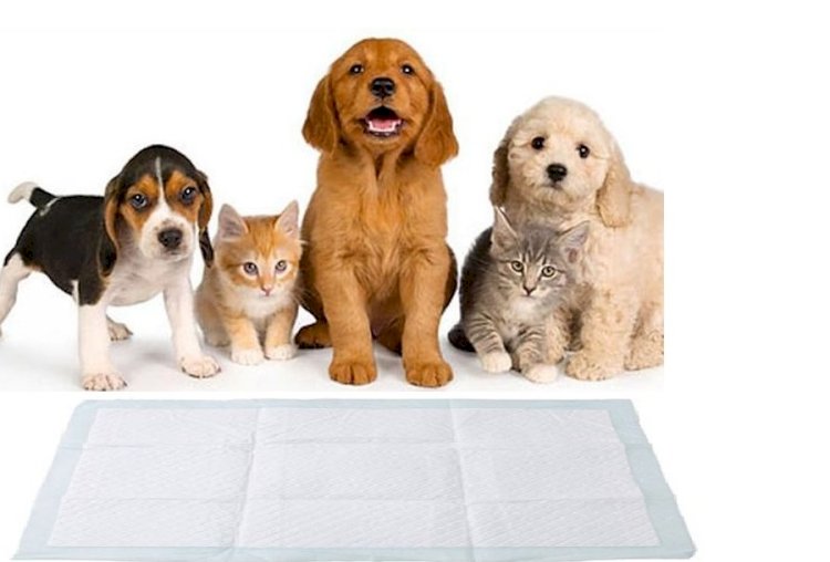 Mart ayında kedi ve köpek ürünlerinin satışı yüzde 800 arttı