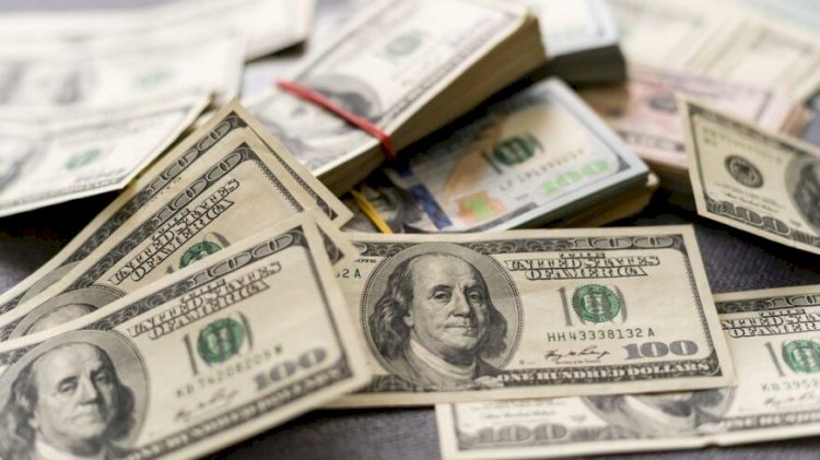 Yabancı iki haftada 10 milyar dolar çıkardı, yerli 10,1 milyar dolar bozdurdu