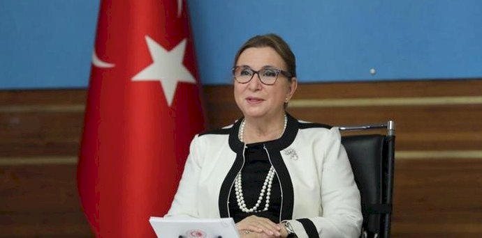 Ruhsar Hanım, Mehmet Bey ve hesap vermemenin dayanılmaz hafifliği