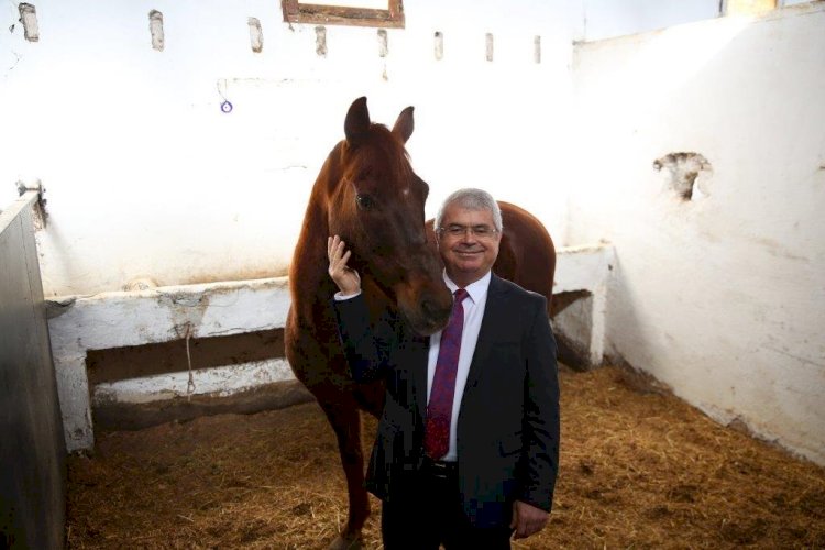 MUTLU ATLAR ADASI