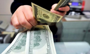 Naci Ağbal operasyonunun bilançosu ortaya çıktı: Milyarlarca dolar kaçtı