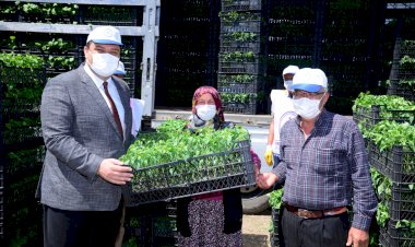 500 çiftçiye 1 milyon 200 bin sebze fidesi