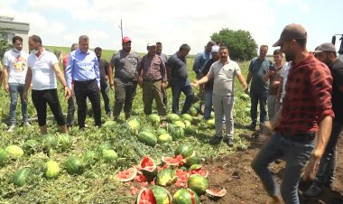 AKP’li çiftçi Bakan Pakdemirli’ye böyle isyan etti: Yaktınız bizi, mahvettiniz!