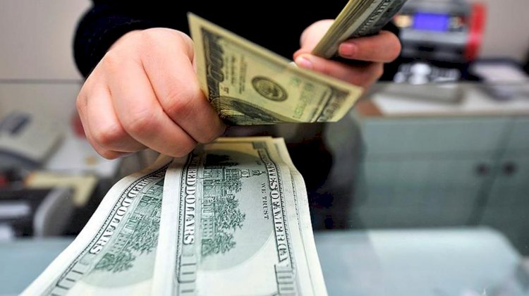Naci Ağbal operasyonunun bilançosu ortaya çıktı: Milyarlarca dolar kaçtı