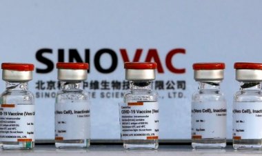 Sinovac DSÖ tarafından onaylandı