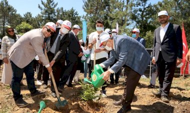 Beykoz’da “Hoş Geldin Bebek Ormanı” Kuruldu