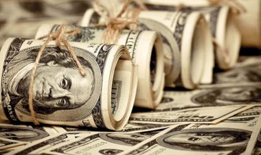 Fitch, Türkiye'nin dolar ve büyüme beklentisini açıkladı