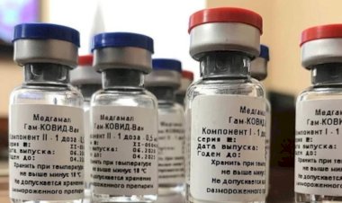Almanya'dan Sinovac ve Sputnik Aşısına Vize Engeli
