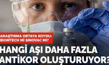 Sinovac mı BioNTech mi diyenler dikkat! Hangi aşı daha fazla antikor oluşturuyor?
